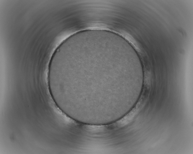 X0000111850856200907231427