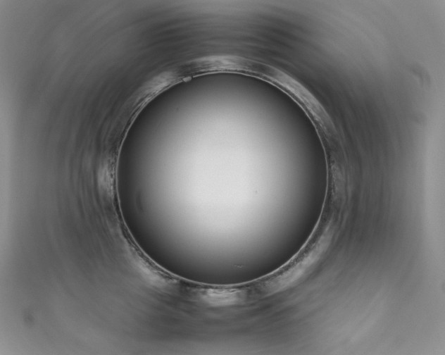 X0000111850857200907231427