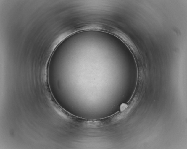 X0000111850858200907231427