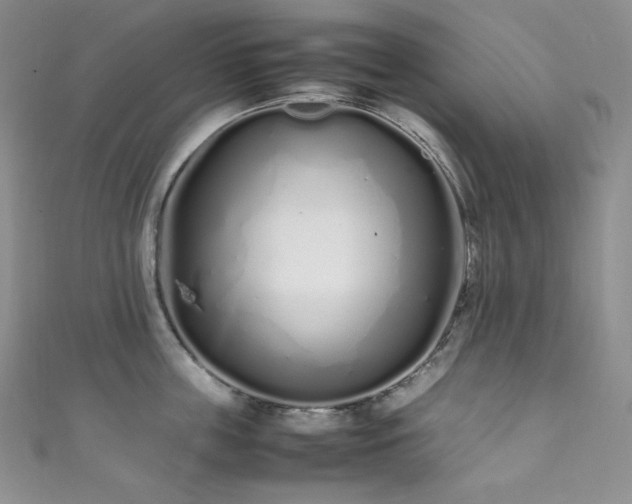 X0000111850859200907231427
