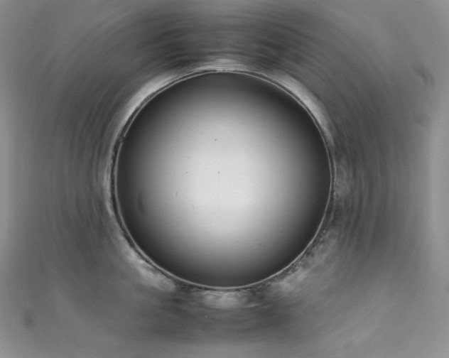 X0000111850861200907231427