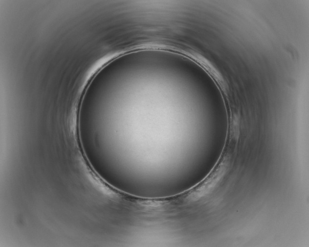 X0000111850862200907231427
