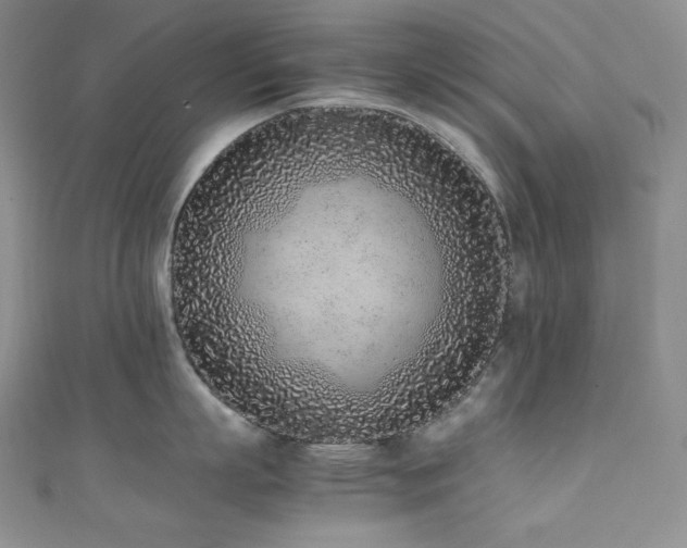 X0000111850863200907231427