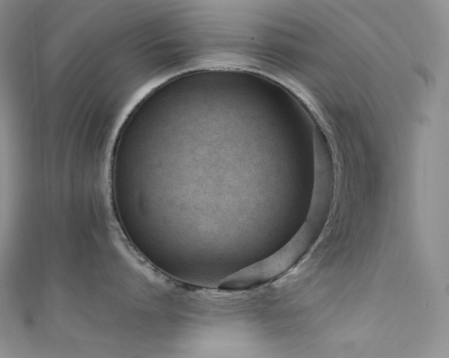 X0000111850864200907231427
