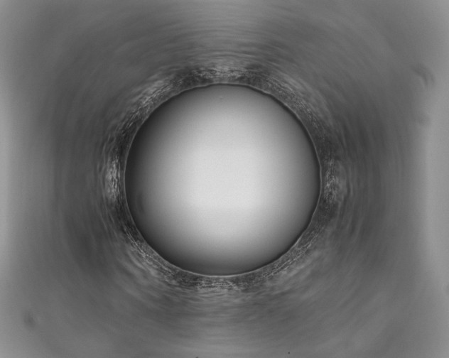 X0000111850866200907231427
