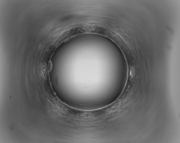 X0000111850867200907231427
