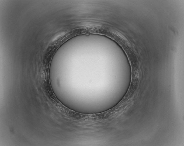 X0000111850869200907231427