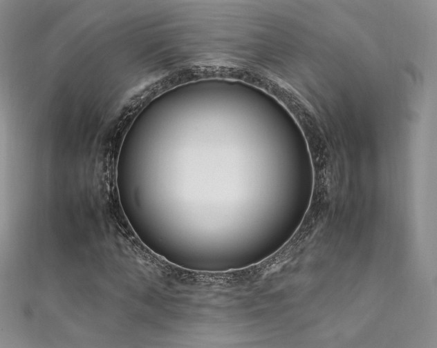 X0000111850870200907231427