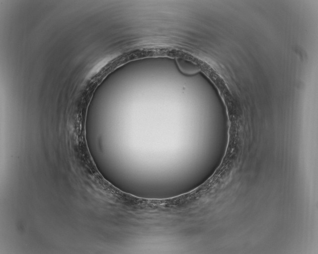 X0000111850871200907231427