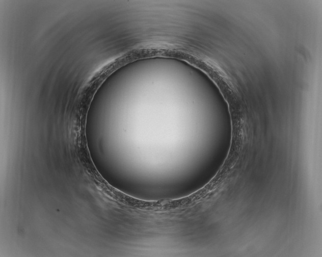 X0000111850872200907231426