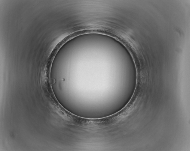 X0000111850875200907231426