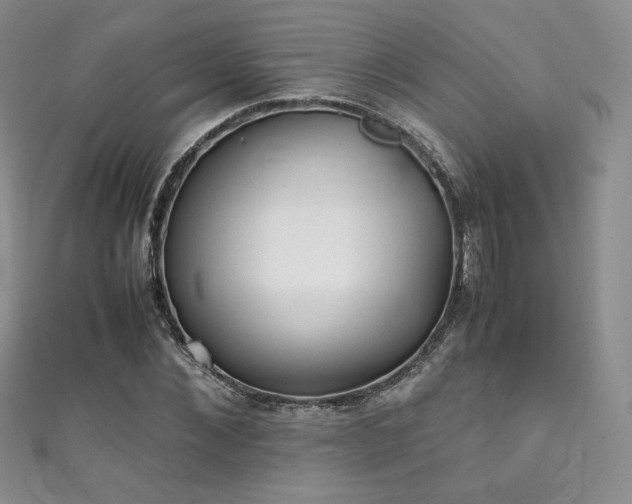 X0000111850876200907231426