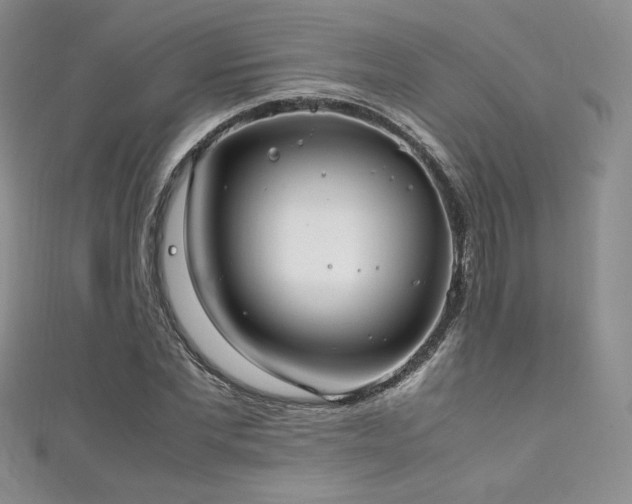 X0000111850877200907231426