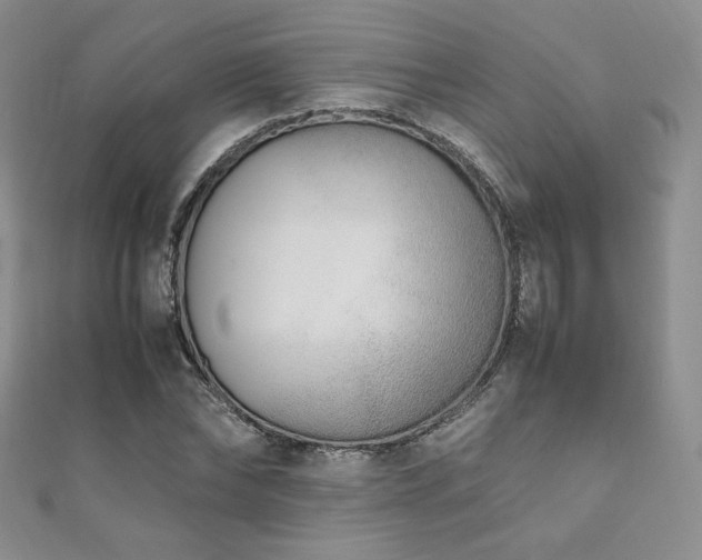 X0000111850878200907231426