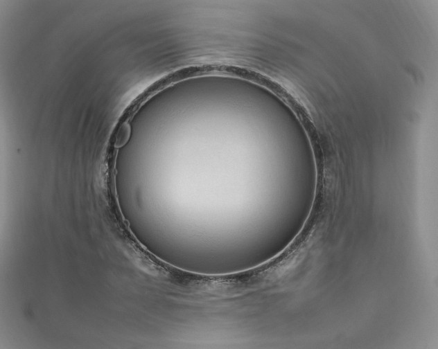 X0000111850879200907231426