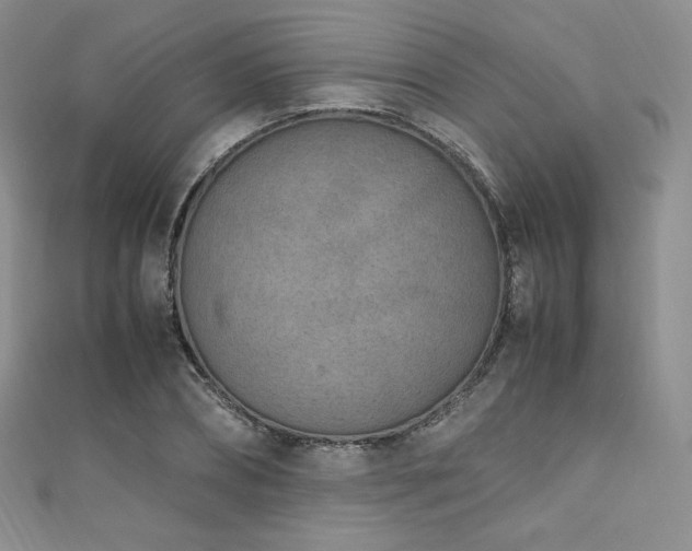 X0000111850882200907231426