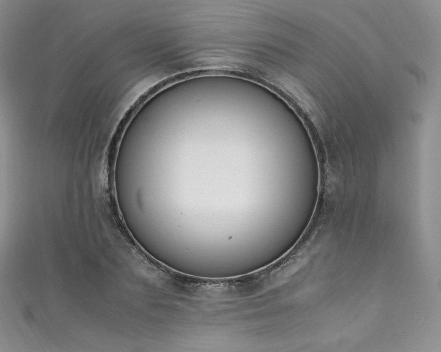 X0000111850883200907231426