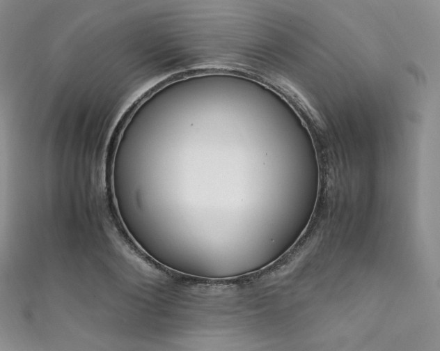 X0000111850884200907231426