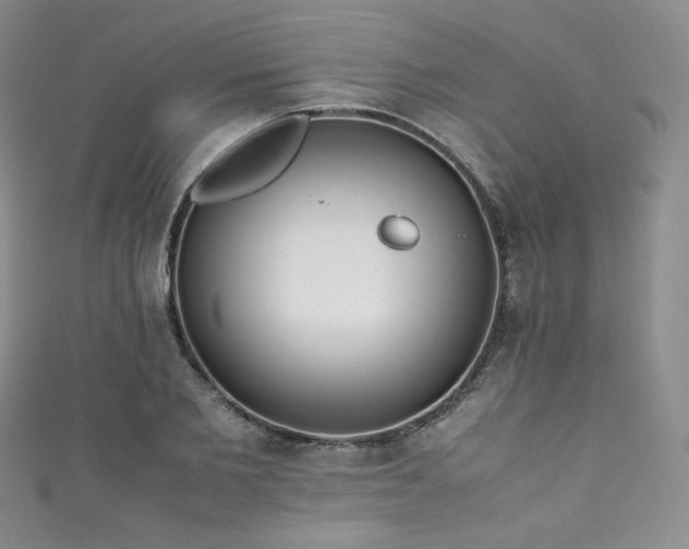 X0000111850885200907231426