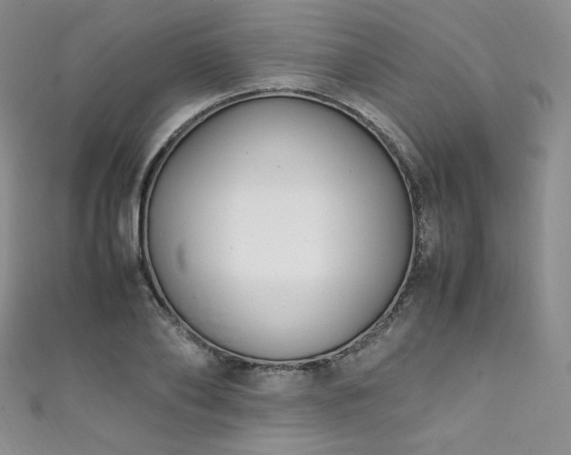 X0000111850886200907231426