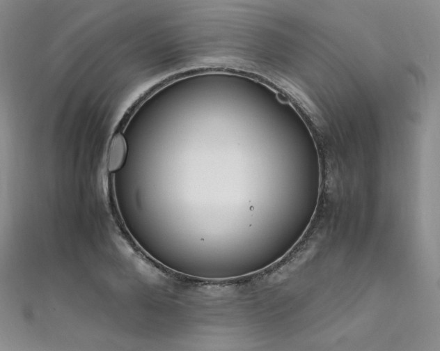X0000111850888200907231426
