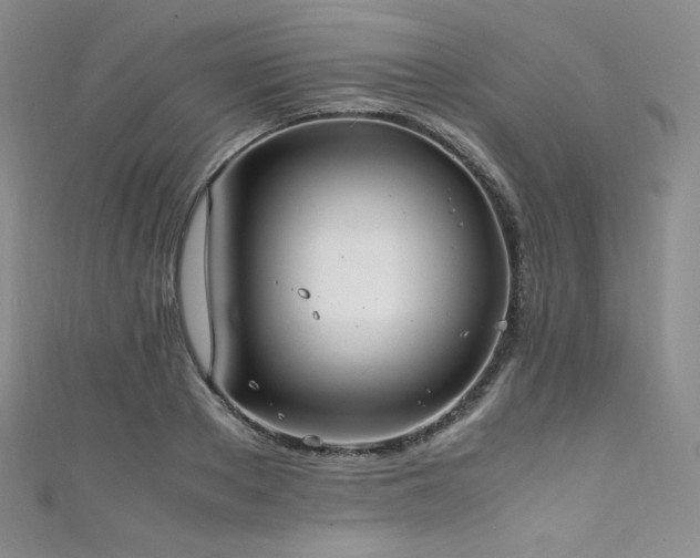 X0000111850889200907231426