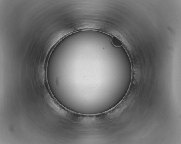 X0000111850890200907231426