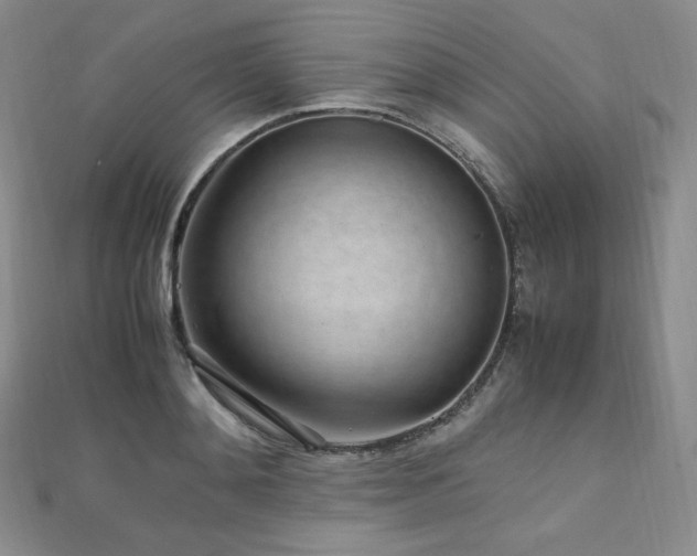 X0000111850892200907231426