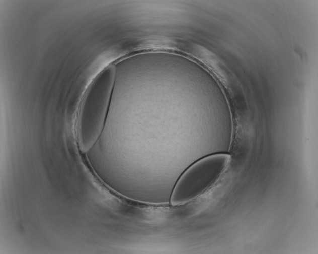 X0000111850893200907231426