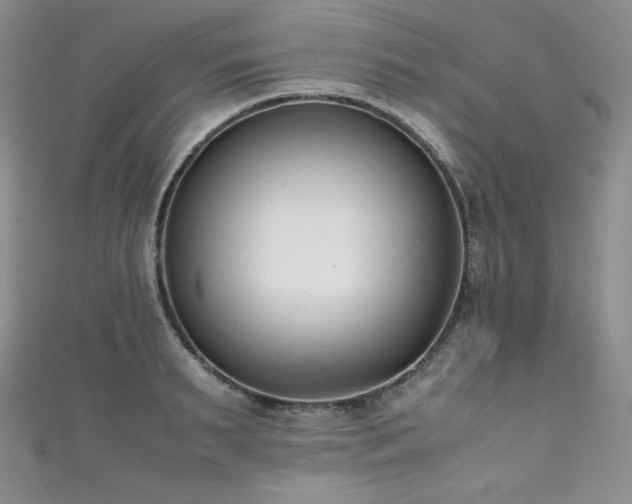 X0000111850895200907231426