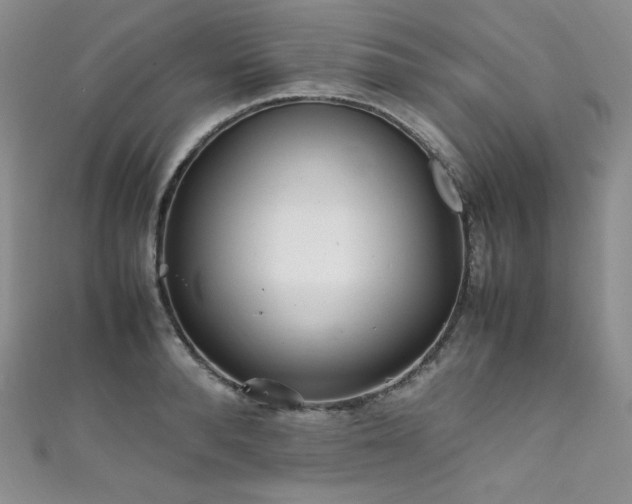 X0000111850896200907231426