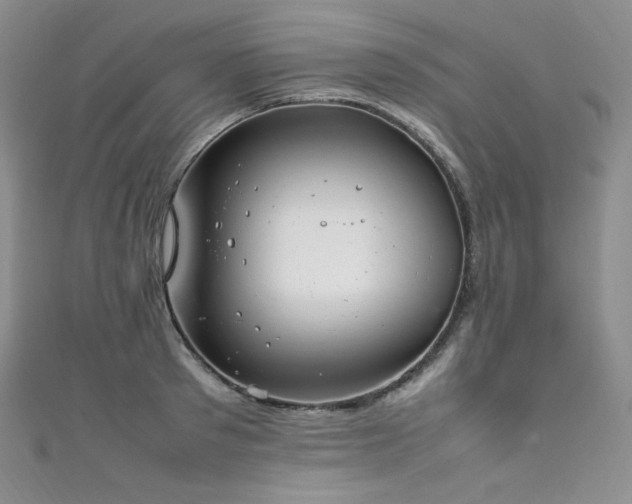 X0000111850897200907231426