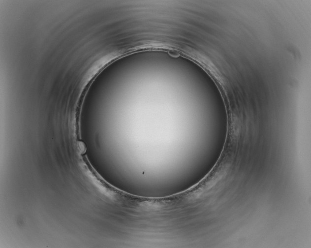 X0000111850898200907231426