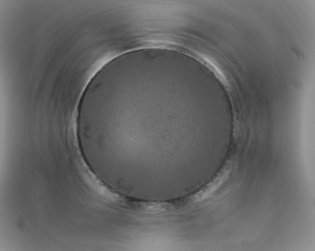 X0000111850899200907231426