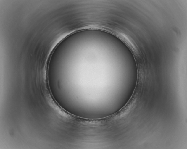 X0000111850900200907231426