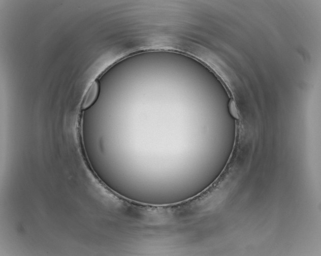 X0000111850901200907231426