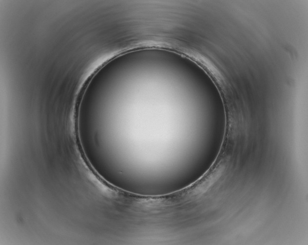 X0000111850902200907231426