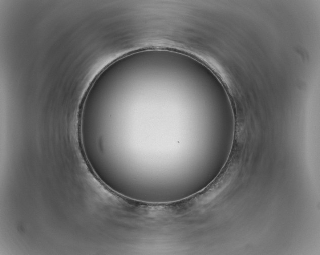 X0000111850903200907231426