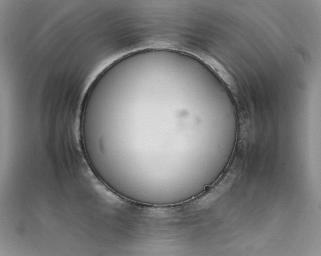 X0000111850904200907231426