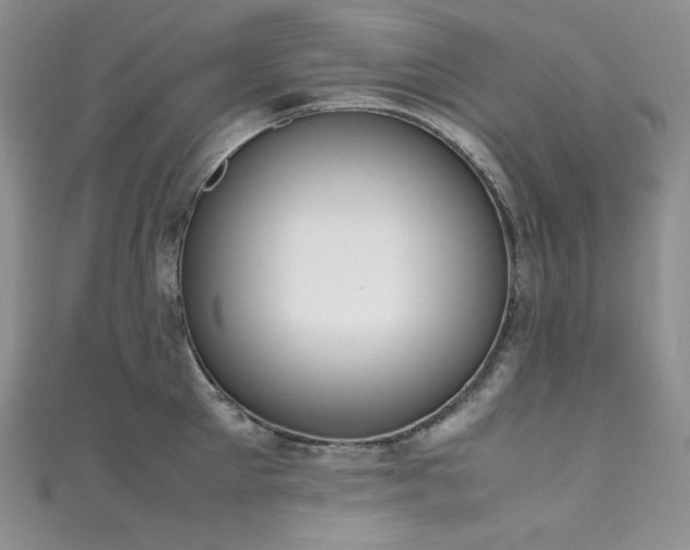X0000111850905200907231426
