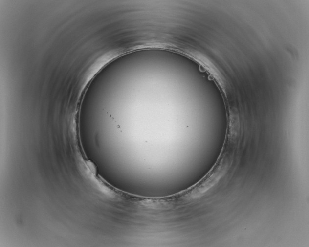 X0000111850906200907231426