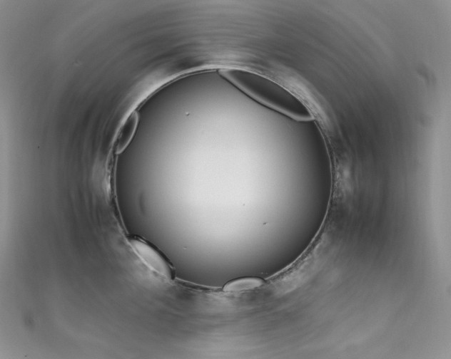 X0000111850908200907231426