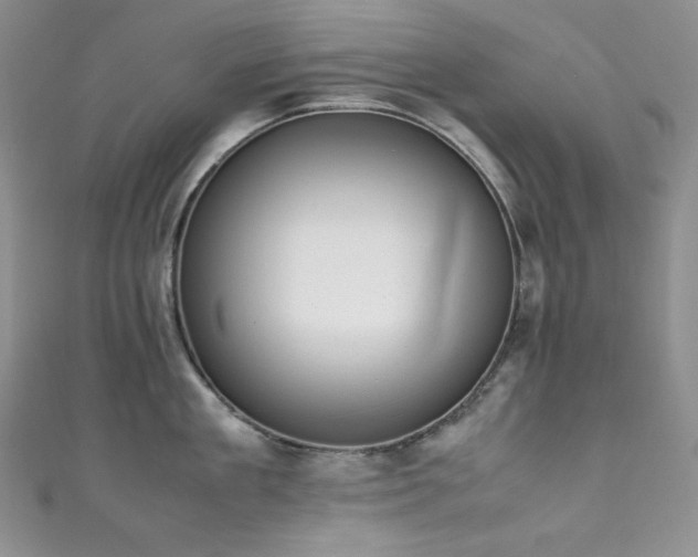 X0000111850909200907231426