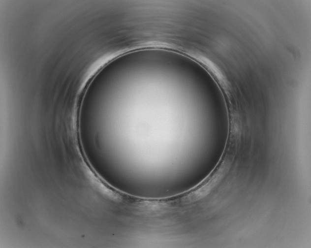 X0000111850910200907231426