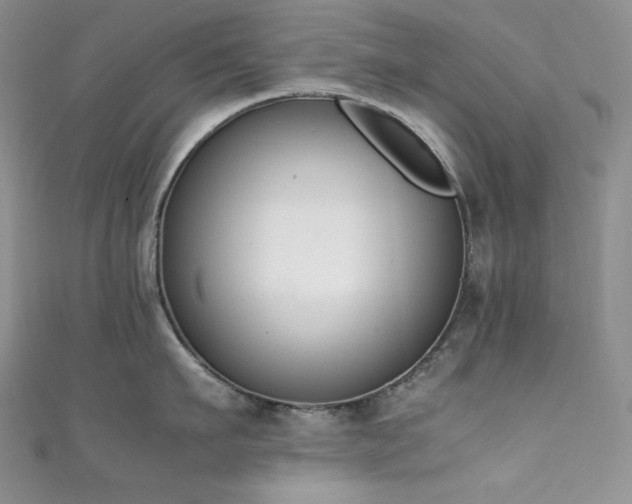 X0000111850911200907231426