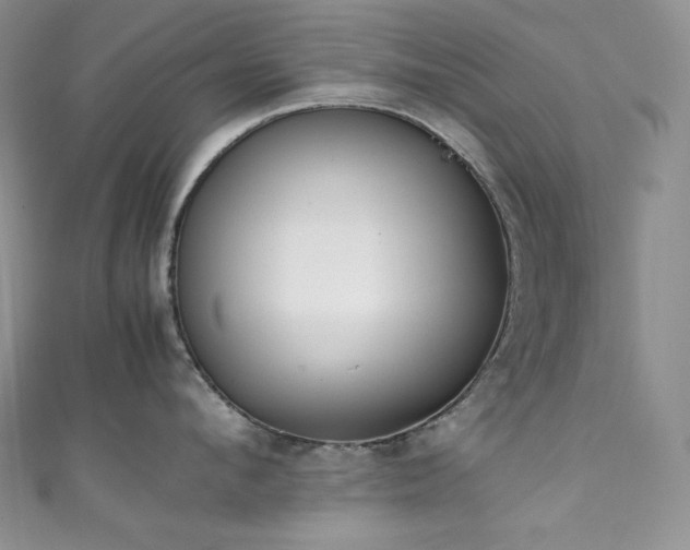 X0000111850912200907231426