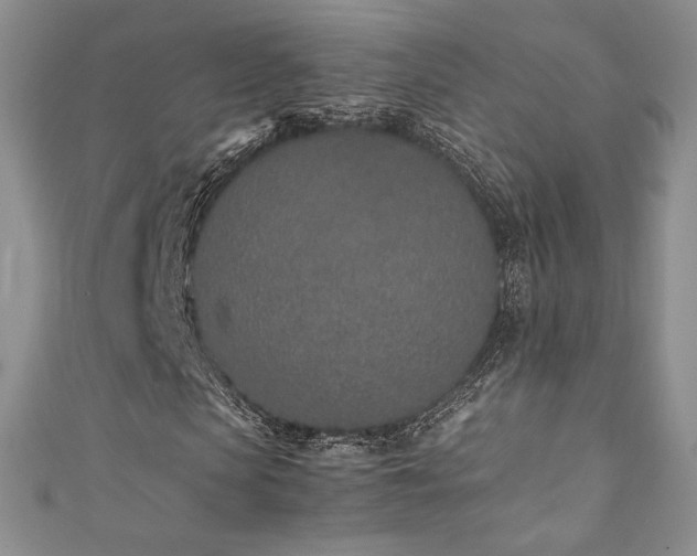 X0000111850913200907231425