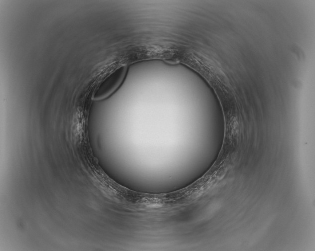 X0000111850914200907231425