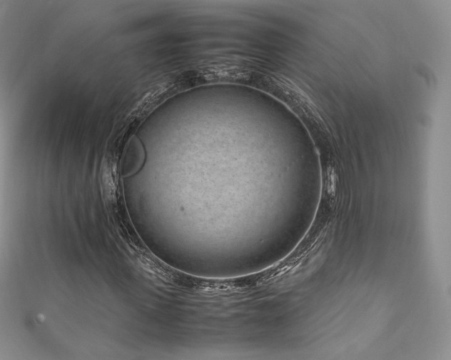 X0000111850915200907231425