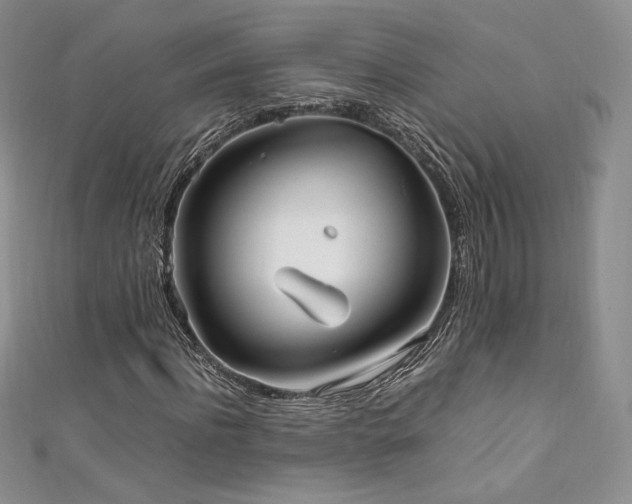 X0000111850916200907231425